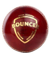 Bouncer Cricket Ball