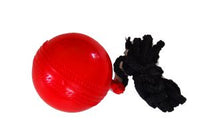 Basic Hanging Cricket Ball