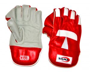 Sigma Club Wicket Keeping Gloves