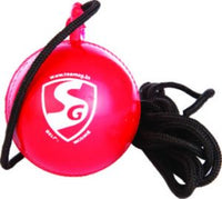 SG iBall Hanging Cricket Ball